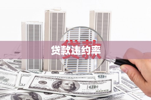 寿丰贷款违约率