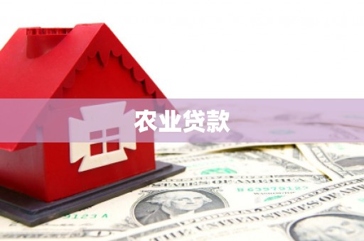 寿丰农业贷款