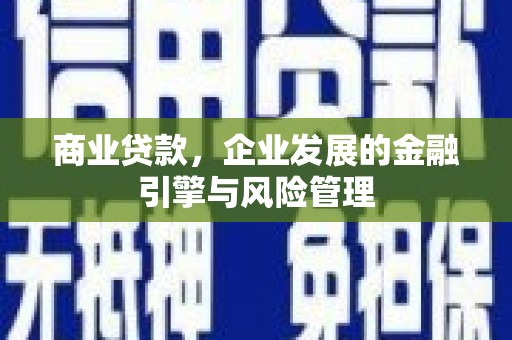 寿丰商业贷款，企业发展的金融引擎与风险管理
