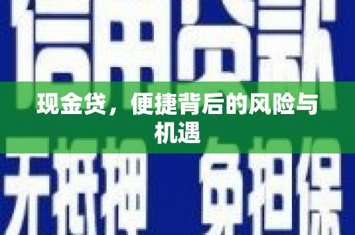寿丰现金贷，便捷背后的风险与机遇