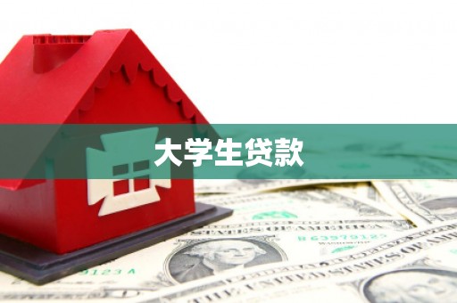 寿丰大学生贷款