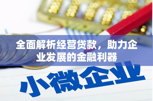 寿丰全面解析经营贷款，助力企业发展的金融利器