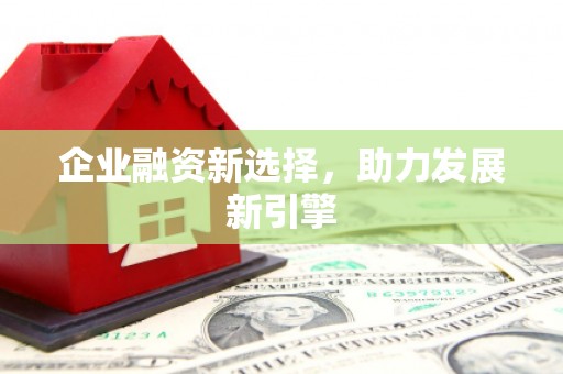 寿丰企业融资新选择，助力发展新引擎