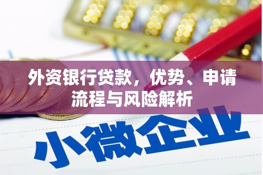 寿丰外资银行贷款，优势、申请流程与风险解析
