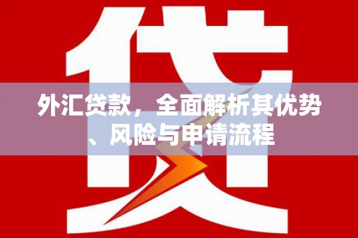 寿丰外汇贷款，全面解析其优势、风险与申请流程