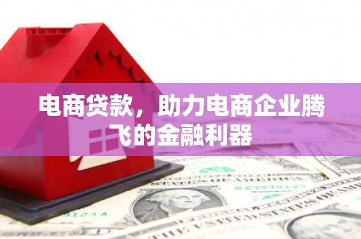 寿丰电商贷款，助力电商企业腾飞的金融利器