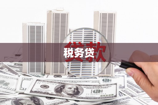 寿丰税务贷