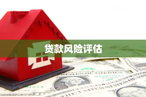 寿丰贷款风险评估