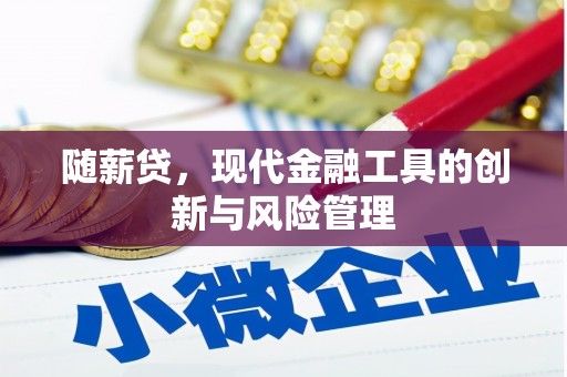寿丰随薪贷，现代金融工具的创新与风险管理