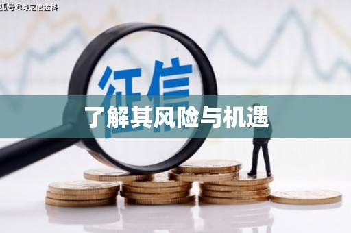 寿丰了解其风险与机遇