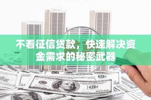 寿丰不看征信贷款，快速解决资金需求的秘密武器
