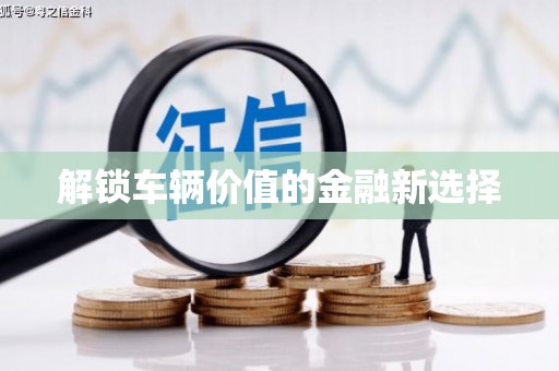 寿丰解锁车辆价值的金融新选择