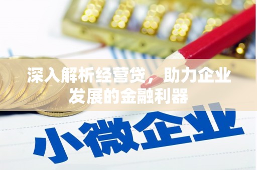 寿丰深入解析经营贷，助力企业发展的金融利器
