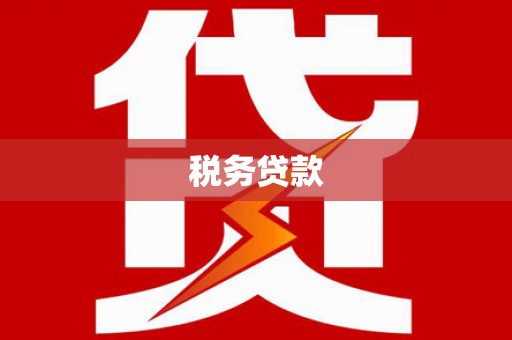 寿丰税务贷款