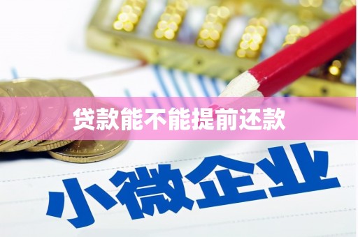 寿丰贷款能不能提前还款