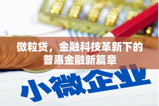 寿丰微粒贷，金融科技革新下的普惠金融新篇章