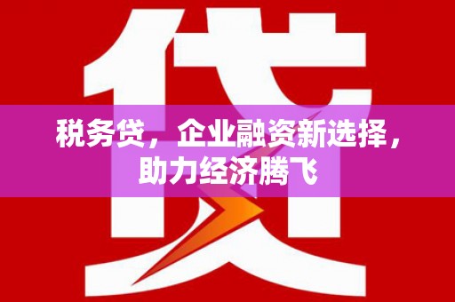 寿丰税务贷，企业融资新选择，助力经济腾飞
