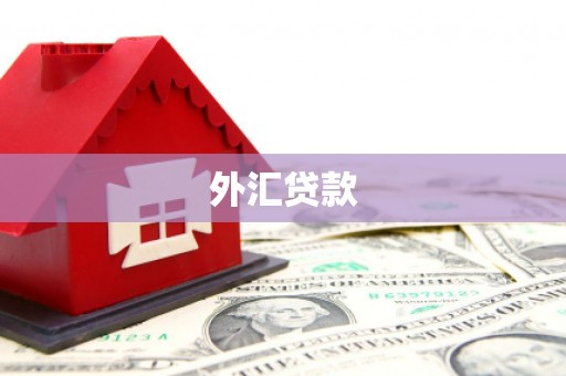 寿丰外汇贷款