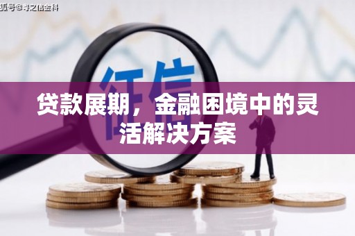 寿丰贷款展期，金融困境中的灵活解决方案