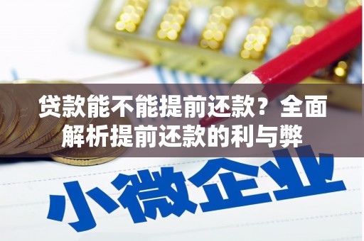 寿丰贷款能不能提前还款？全面解析提前还款的利与弊