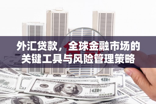 寿丰外汇贷款，全球金融市场的关键工具与风险管理策略
