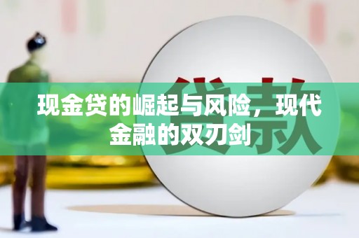 寿丰现金贷的崛起与风险，现代金融的双刃剑
