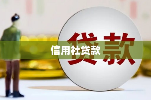 寿丰信用社贷款