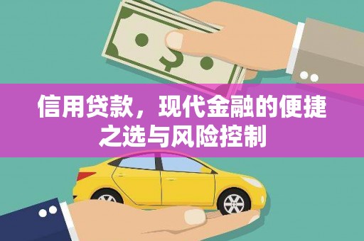寿丰信用贷款，现代金融的便捷之选与风险控制
