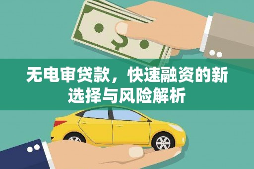 寿丰无电审贷款，快速融资的新选择与风险解析