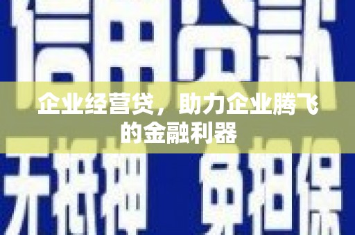 寿丰企业经营贷，助力企业腾飞的金融利器