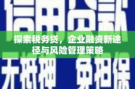 寿丰探索税务贷，企业融资新途径与风险管理策略