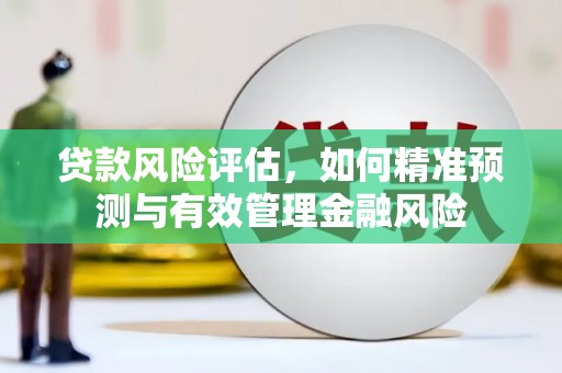 寿丰贷款风险评估，如何精准预测与有效管理金融风险