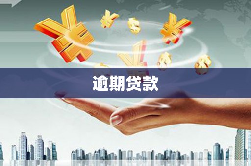 寿丰逾期贷款