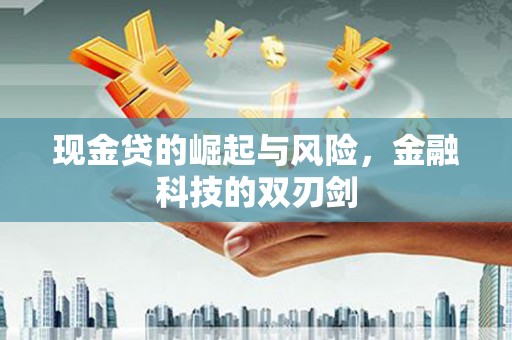 寿丰现金贷的崛起与风险，金融科技的双刃剑