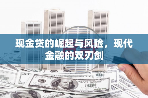 寿丰现金贷的崛起与风险，现代金融的双刃剑