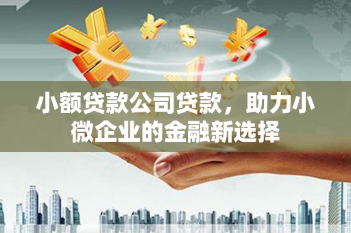 寿丰小额贷款公司贷款，助力小微企业的金融新选择