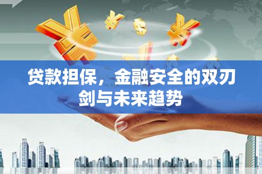 寿丰贷款担保，金融安全的双刃剑与未来趋势