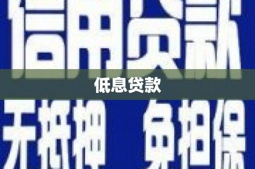 寿丰低息贷款
