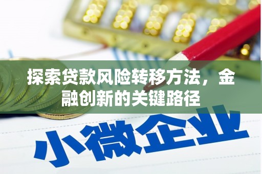 寿丰探索贷款风险转移方法，金融创新的关键路径