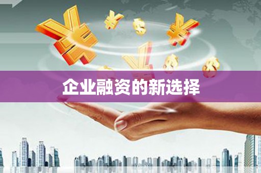 寿丰企业融资的新选择