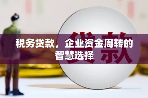 寿丰税务贷款，企业资金周转的智慧选择