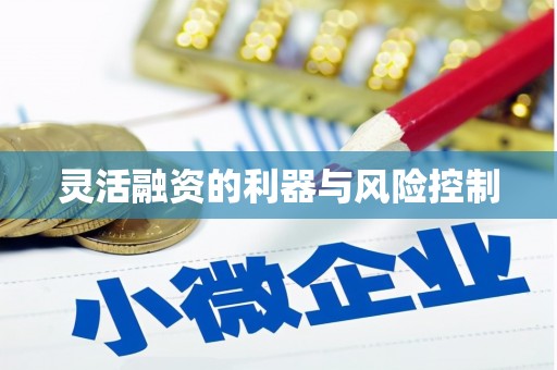 寿丰灵活融资的利器与风险控制