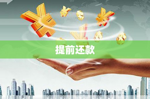 寿丰提前还款