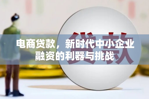 寿丰电商贷款，新时代中小企业融资的利器与挑战