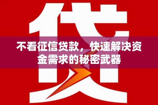 寿丰不看征信贷款，快速解决资金需求的秘密武器
