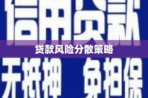 寿丰贷款风险分散策略