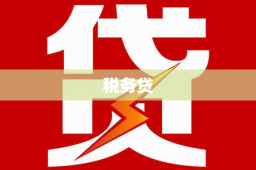 寿丰税务贷