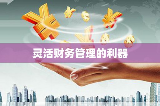 寿丰灵活财务管理的利器