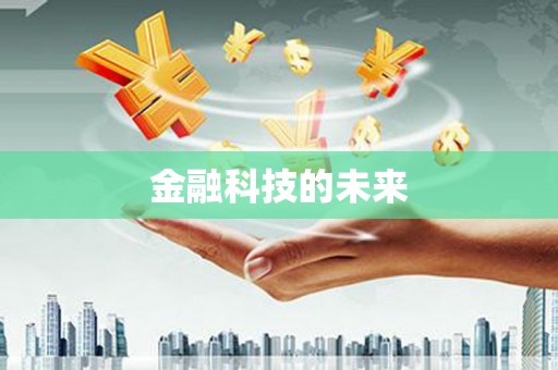 寿丰金融科技的未来