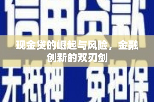 寿丰现金贷的崛起与风险，金融创新的双刃剑